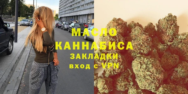молекула духа Ельня