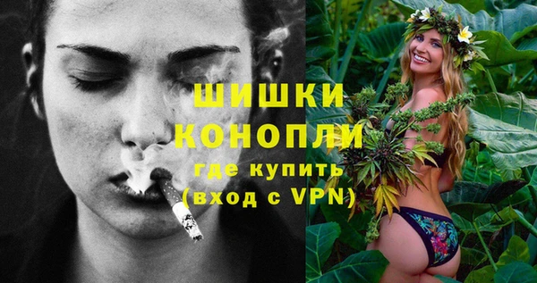 молекула духа Ельня