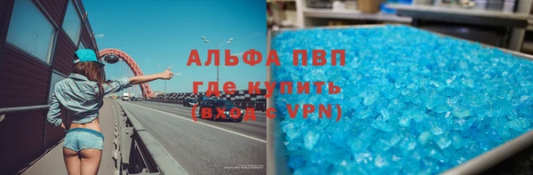молекула духа Ельня