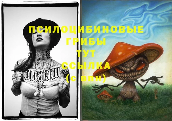 молекула духа Ельня