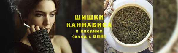 стафф Елабуга