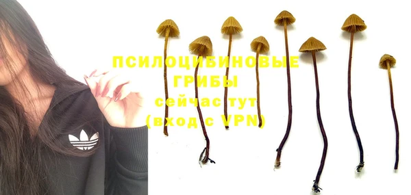 стафф Елабуга
