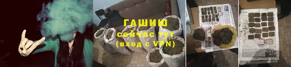 молекула духа Ельня