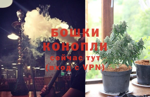 стафф Елабуга