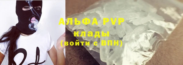 молекула духа Ельня