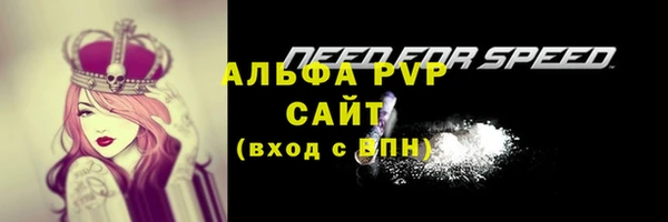 стафф Елабуга