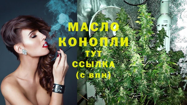 молекула духа Ельня
