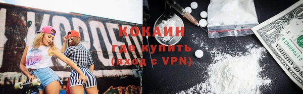 молекула духа Ельня